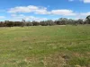 47-49 Bell St, Beulah, Vic 3395-Image