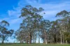 47 Holts Road, Elliminyt, Vic 3250-Image
