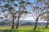 47 Holts Road, Elliminyt, Vic 3250-Image
