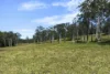 472 Pindimar Road, Pindimar, NSW 2324-Image
