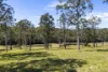 472 Pindimar Road, Pindimar, NSW 2324-Image