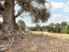 472 Strickland Road, Strickland, Tas 7140-Image