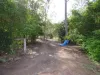 475 Willaura Drive, Mount Hallen, Qld 4312-Image