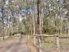 475 Willaura Drive, Mount Hallen, Qld 4312-Image