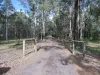 475 Willaura Drive, Mount Hallen, Qld 4312-Image