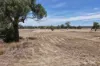 479 Spains Lane, Quirindi, NSW 2343-Image