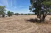 479 Spains Lane, Quirindi, NSW 2343-Image