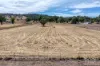 479 Spains Lane, Quirindi, NSW 2343-Image