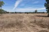 479 Spains Lane, Quirindi, NSW 2343-Image