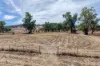 479 Spains Lane, Quirindi, NSW 2343-Image
