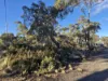 48 Jones Road, Miena, Tas 7030-Image