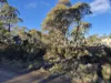 48 Jones Road, Miena, Tas 7030-Image