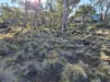 48 Jones Road, Miena, Tas 7030-Image