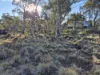 48 Jones Road, Miena, Tas 7030-Image