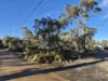 48 Jones Road, Miena, Tas 7030-Image