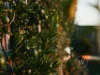 48 Sheoak Street, Warragul, Vic 3820-Image