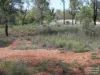 48 Turrama Road, Clermont, Qld 4721-Image