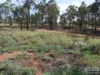 48 Turrama Road, Clermont, Qld 4721-Image
