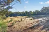 482 Tinderbox Road, Tinderbox, Tas 7054-Image