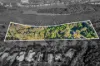 486 Foxwell Road, Coomera, Qld 4209-Image
