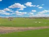 49 Crowes Road, Bolwarra, Vic 3305-Image