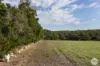 49 Harrisons Road, Dereel, Vic 3352-Image