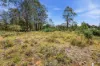 49 Laycock Drive, Interlaken, Tas 7030-Image