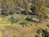49 Laycock Drive, Interlaken, Tas 7030-Image
