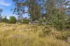 49 Laycock Drive, Interlaken, Tas 7030-Image