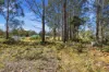 49 Laycock Drive, Interlaken, Tas 7030-Image