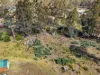 49 Laycock Drive, Interlaken, Tas 7030-Image