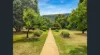 49 Lower Road, New Norfolk, Tas 7140-Image