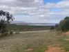49 Mount Ferguson Drive, Weeroona Island, SA 5495-Image
