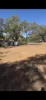49 Powder Bark Road, Julimar, WA 6567-Image