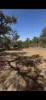 49 Powder Bark Road, Julimar, WA 6567-Image