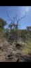 49 Powder Bark Road, Julimar, WA 6567-Image