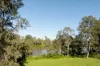 49 Robertson Place, Fig Tree Pocket, Qld 4069-Image