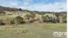 490 Molesworth Road, Molesworth, Tas 7140-Image