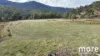 490 Molesworth Road, Molesworth, Tas 7140-Image