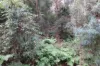 4926 Wisemans Ferry Road, Spencer, NSW 2775-Image