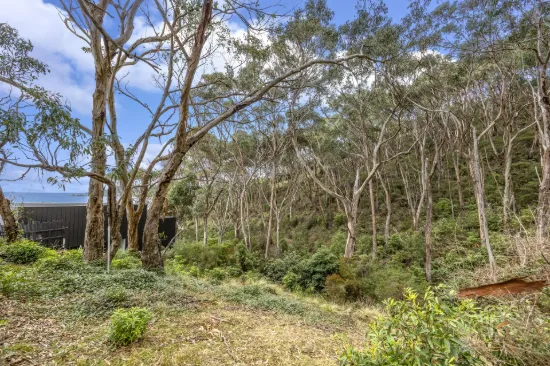 4C Tradewinds Avenue, Lorne, Vic 3232