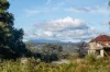 5 & 7 Teggs Road, Gravelly Beach, Tas 7276-Image