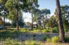 5 & 7 Teggs Road, Gravelly Beach, Tas 7276-Image