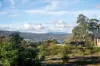 5 & 7 Teggs Road, Gravelly Beach, Tas 7276-Image