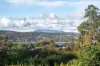 5 & 7 Teggs Road, Gravelly Beach, Tas 7276-Image