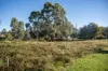 5 & 7 Teggs Road, Gravelly Beach, Tas 7276-Image