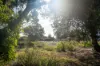 5 & 7 Teggs Road, Gravelly Beach, Tas 7276-Image