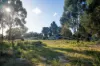 5 & 7 Teggs Road, Gravelly Beach, Tas 7276-Image
