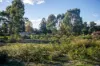 5 & 7 Teggs Road, Gravelly Beach, Tas 7276-Image