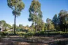 5 & 7 Teggs Road, Gravelly Beach, Tas 7276-Image